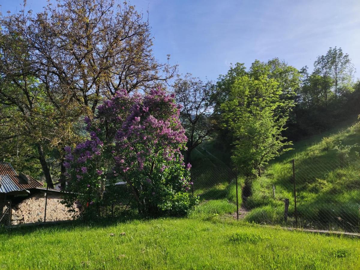 Comme Chez Vous Villa Bayons Екстериор снимка